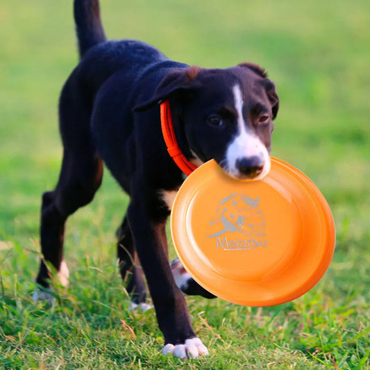 Durable Dog Training Disc Toy